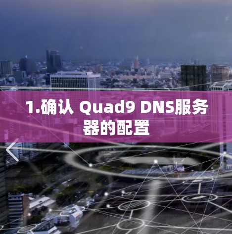 1.确认 Quad9 DNS服务器的配置
