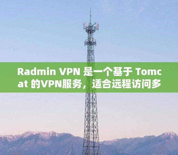 Radmin VPN 是一个基于 Tomcat 的VPN服务，适合远程访问多个 Tomcat 服务。以下是使用 Radmin VPN 的步骤