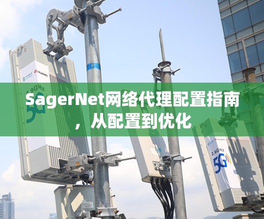 SagerNet网络代理配置指南，从配置到优化