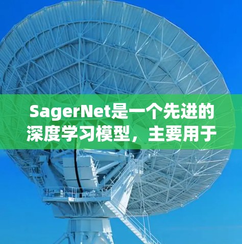 SagerNet是一个先进的深度学习模型，主要用于图像分类和目标检测。以下是对SagerNet的详细架构和使用方法的总结