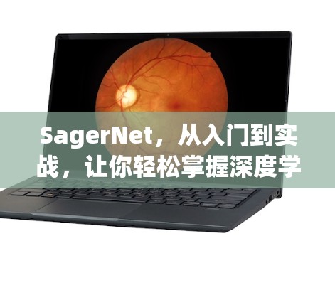 SagerNet，从入门到实战，让你轻松掌握深度学习框架