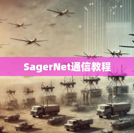SagerNet通信教程