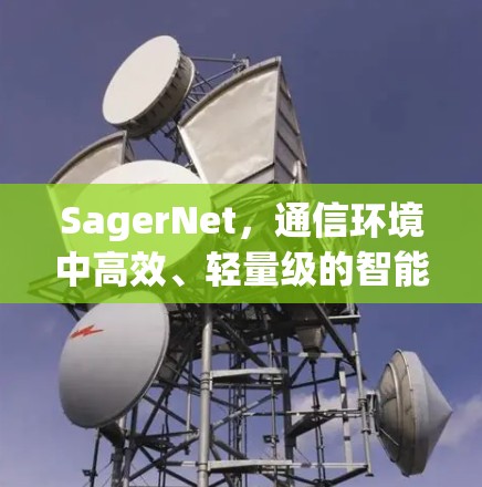 SagerNet，通信环境中高效、轻量级的智能体深度学习框架