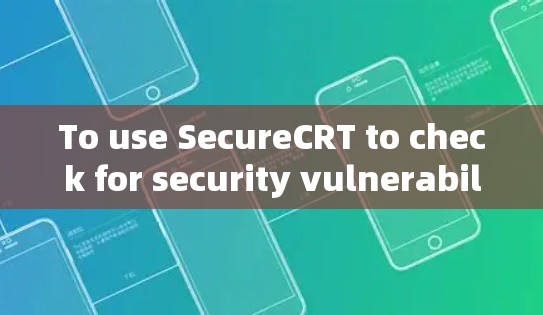 To use SecureCRT to check for security vulnerabilities in your software,follow these steps: