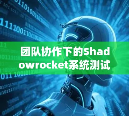 团队协作下的Shadowrocket系统测试