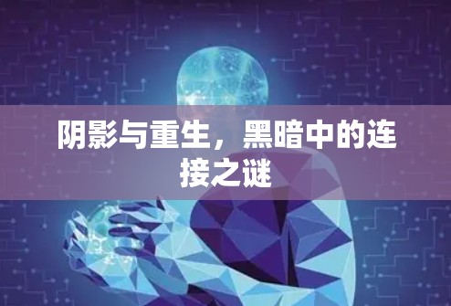 阴影与重生，黑暗中的连接之谜