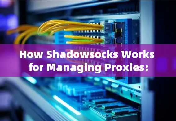 How Shadowsocks Works for Managing Proxies: How Shadowsocks Works for Managing Proxies: