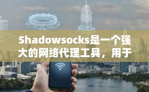 Shadowsocks是一个强大的网络代理工具，用于监控和分析互联网流量。如果你想订阅Shadowsocks，以下是一些步骤和建议
