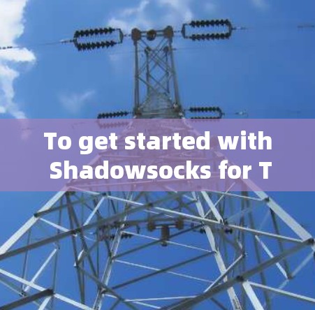 To get started with Shadowsocks for TypeScript,follow this organized plan: