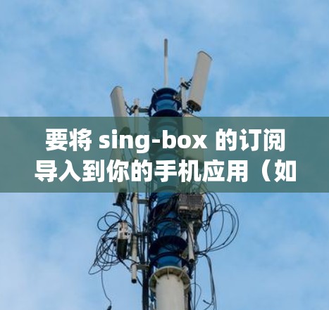 要将 sing-box 的订阅导入到你的手机应用（如微信、QQ、支付宝等）或通过 sing-box 的订阅管理功能管理其他订阅，可以按照以下步骤操作