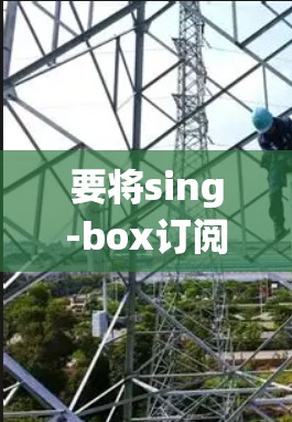 要将sing-box订阅导入到你的系统，可以通过多种方式实现。以下是一些常见的方法，适用于不同平台的订阅