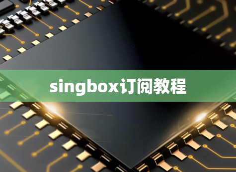 singbox订阅教程