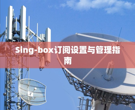 Sing-box订阅设置与管理指南