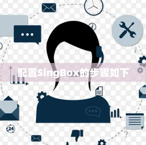配置SingBox的步骤如下