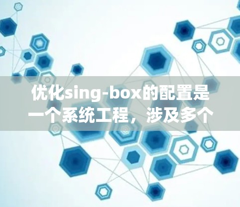 优化sing-box的配置是一个系统工程，涉及多个方面。以下是一个有条理的优化步骤指南