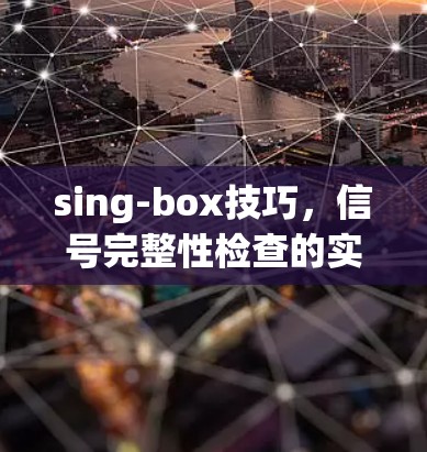 sing-box技巧，信号完整性检查的实战指南