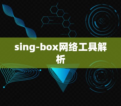 sing-box网络工具解析