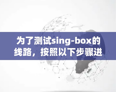 为了测试sing-box的线路，按照以下步骤进行