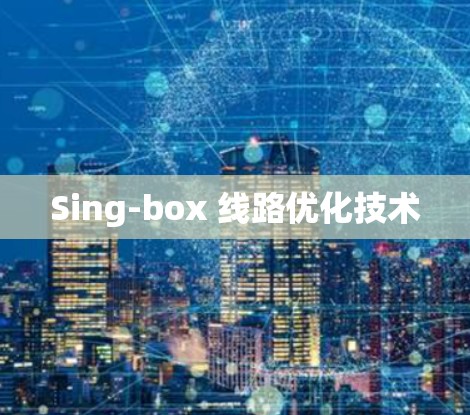 Sing-box 线路优化技术