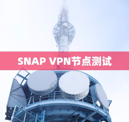 SNAP VPN节点测试