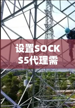 设置SOCKS5代理需要遵循以下步骤，确保所有设置正确无误