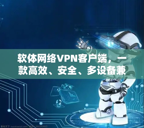 软体网络VPN客户端，一款高效、安全、多设备兼容的网络VPN解决方案