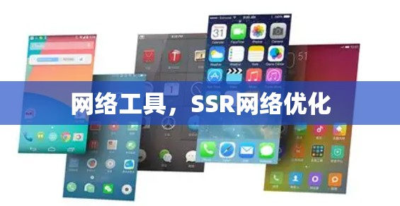 网络工具，SSR网络优化