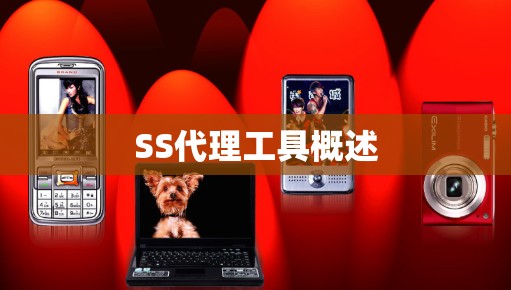 SS代理工具概述