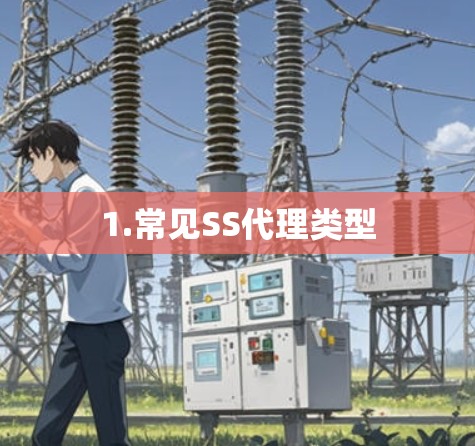 1.常见SS代理类型