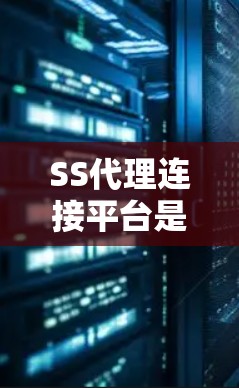 SS代理连接平台是用于连接服务器端的代理服务器，以提高连接的稳定性、响应时间和资源利用率。以下是关于SS代理连接平台的详细分析