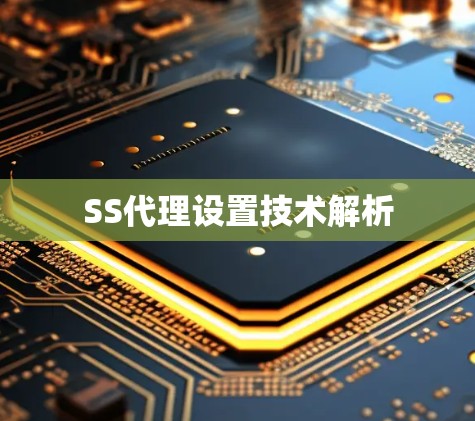 SS代理设置技术解析