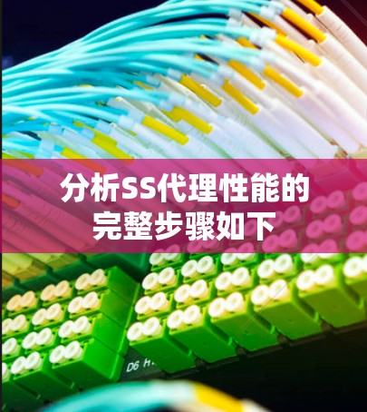 分析SS代理性能的完整步骤如下