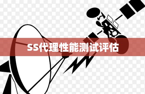 SS代理性能测试评估