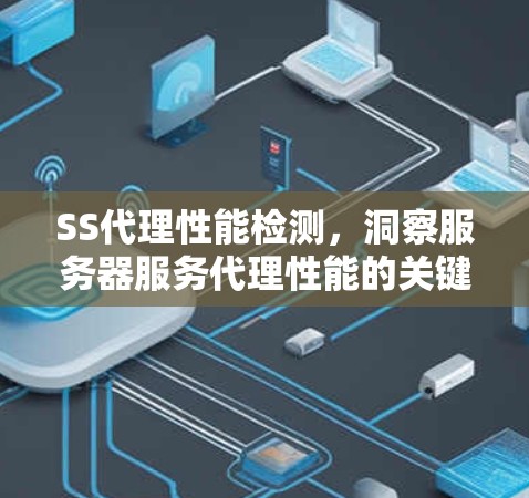 SS代理性能检测，洞察服务器服务代理性能的关键指标与优化策略