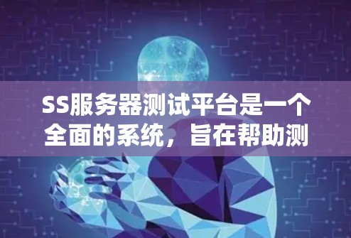 SS服务器测试平台是一个全面的系统，旨在帮助测试人员确认服务器组（SS服务器）的性能、稳定性、安全性和高负载能力。以下是对该平台的详细分析