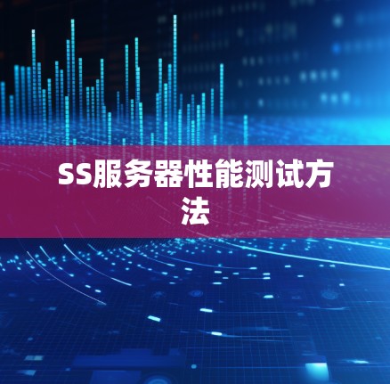 SS服务器性能测试方法