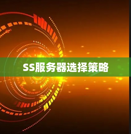 SS服务器选择策略