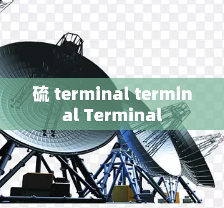 硫 terminal terminal Terminal