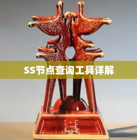 SS节点查询工具详解