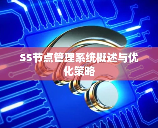 SS节点管理系统概述与优化策略