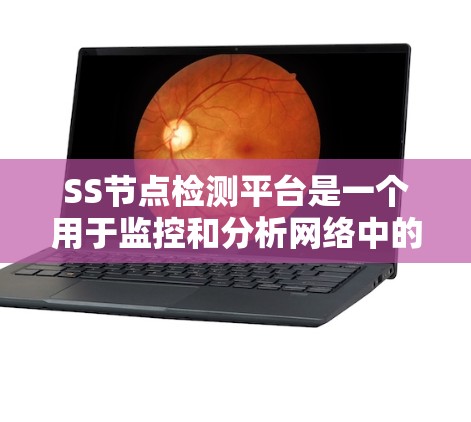 SS节点检测平台是一个用于监控和分析网络中的服务服务器（SS）状态和行为的工具，广泛应用于云服务监控领域。以下是该平台的主要特点和功能