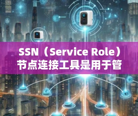 SSN（Service Role）节点连接工具是用于管理用户角色和权限的工具，广泛应用于电商、购物平台等领域。以下是关于SSN连接工具的详细介绍