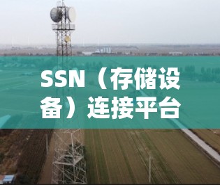SSN（存储设备）连接平台是一种用于连接存储设备的软件或工具，支持多种存储设备如SSD、SSN接口、存储网络等。以下是关于SSN连接平台的详细介绍