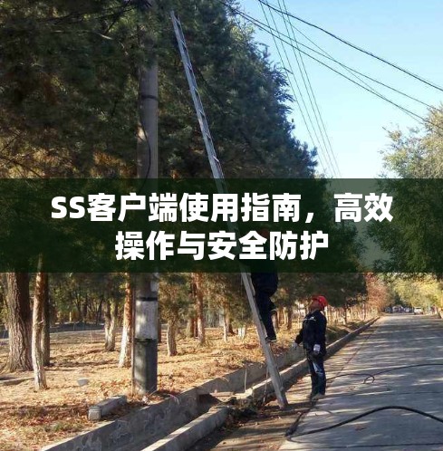 SS客户端使用指南，高效操作与安全防护