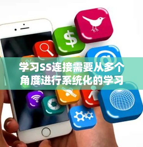 学习SS连接需要从多个角度进行系统化的学习，以下是分步骤的指南