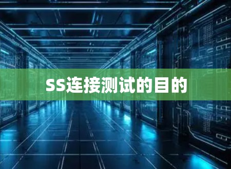 SS连接测试的目的