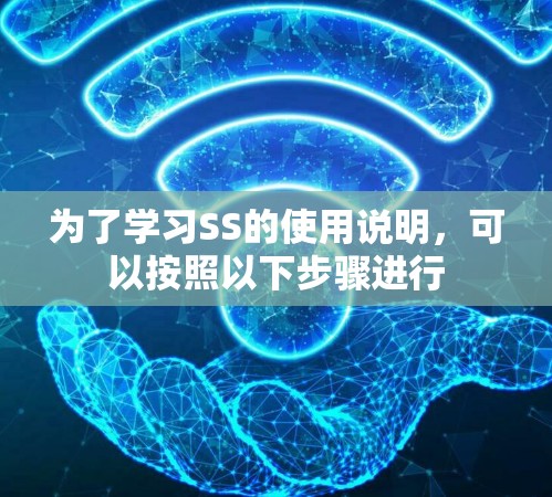 为了学习SS的使用说明，可以按照以下步骤进行