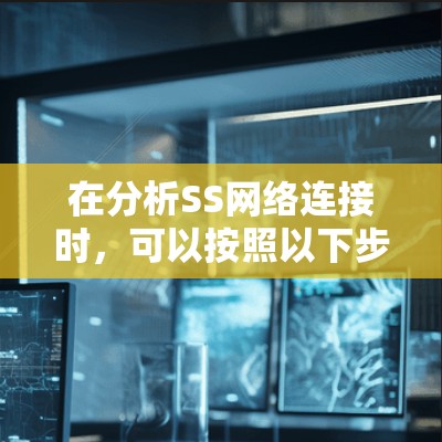 在分析SS网络连接时，可以按照以下步骤进行