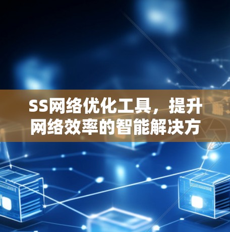 SS网络优化工具，提升网络效率的智能解决方案