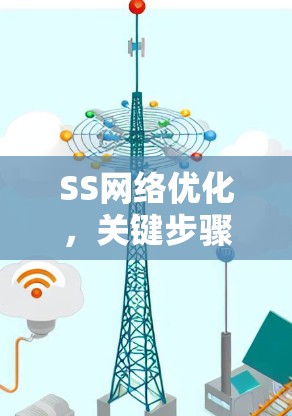 SS网络优化，关键步骤与优化方案